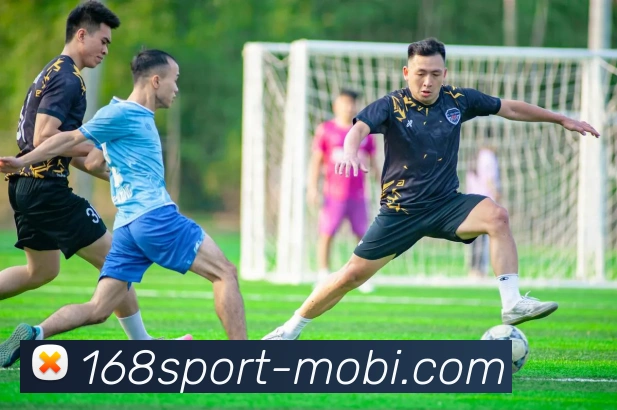 168体育平台生态图