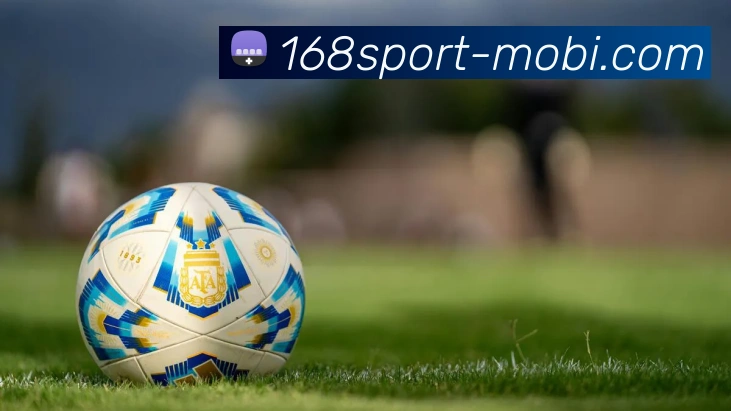 168体育全站App